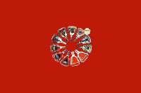 宁波市鄞州回收红酒